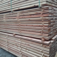 Douglas zweeds rabat - 1,1-2,4 x 19,0 x 200 cm