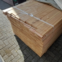 Lariks Douglas schuttingplank - 1,6 x 14,0 x 180 cm